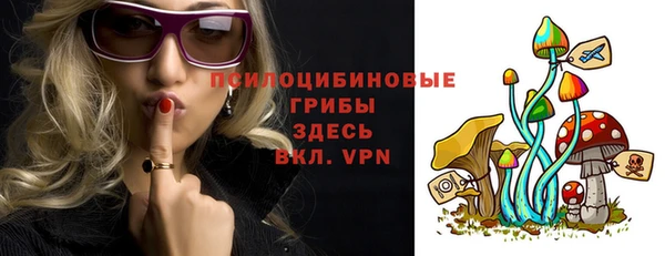 spice Богданович