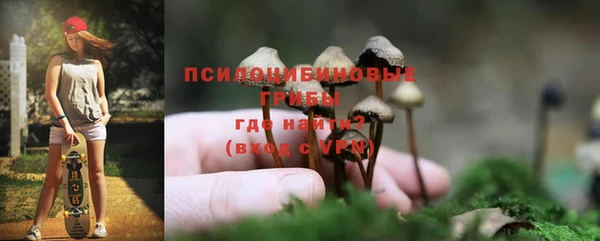 spice Богданович