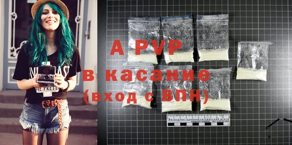 spice Богданович
