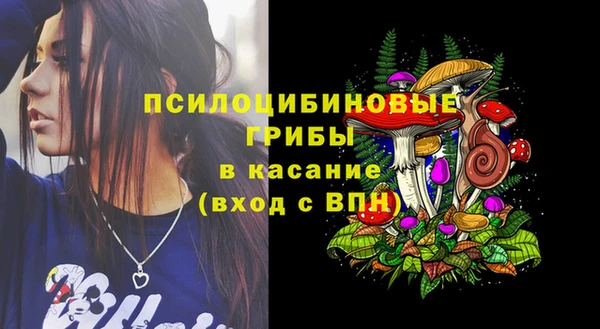 mix Богородск