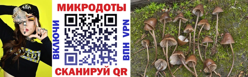 Галлюциногенные грибы ЛСД  сайты даркнета официальный сайт  Мурманск 